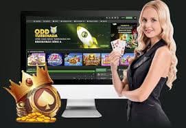 bzbet3